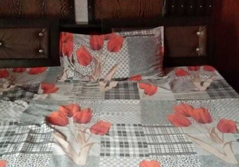 Hotel O Home Meena Homestay