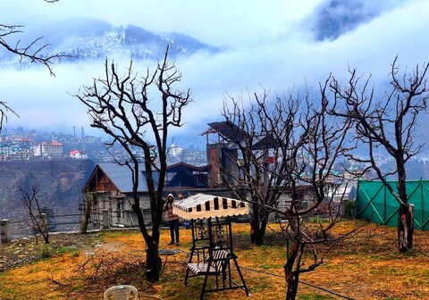 Manali360 Cottage and Cafe