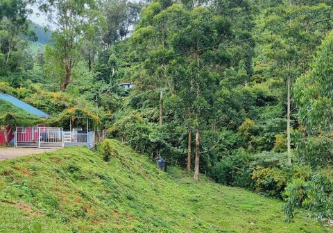 My Daddys Choice Cottage