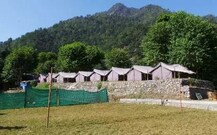 Rafters Den Jungle Camp, Rishikesh Rafters Den Jungle Camp, Rishikesh