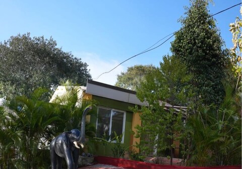 The Whistling Pine Woods anaikatti