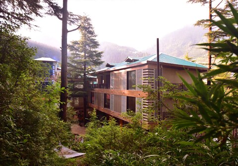 Cloud Chat - A Boutique Property