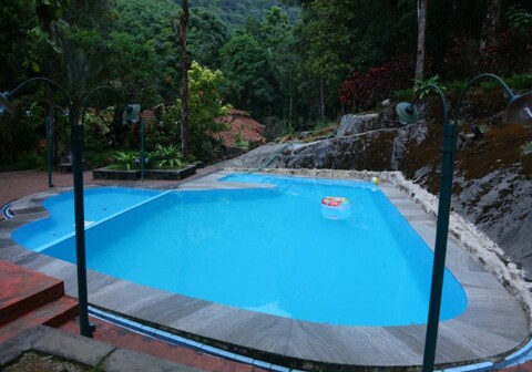 Vythiri Blue Ginger Resorts