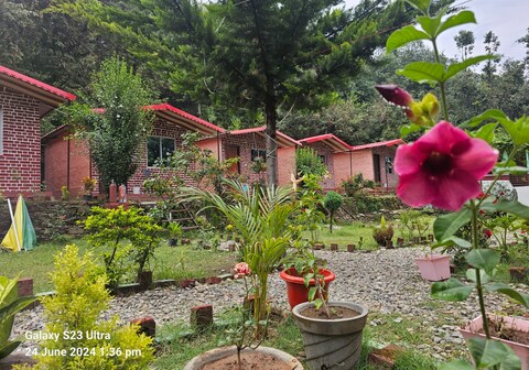 Shivaay Resort and Cottages