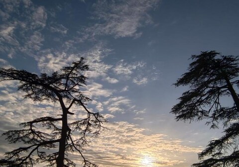 MnM Stays, Shimla