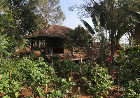 Vana at The Plenti House : Mindful Nilgiris