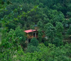 Cottage Nirvana, Mukteshwar Cottage Nirvana, Mukteshwar
