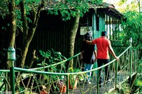 CYBELE HILL RESORT, Wayanad CYBELE HILL RESORT, Wayanad
