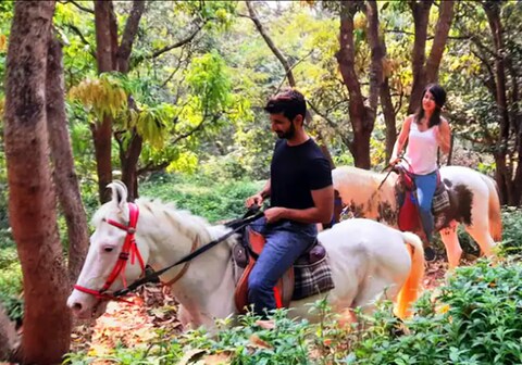 The Zen Forest Cottage