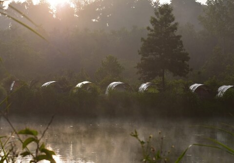 Camp Coorg Tents