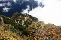 Silk Route Resort, Kalimpong Silk Route Resort, Kalimpong