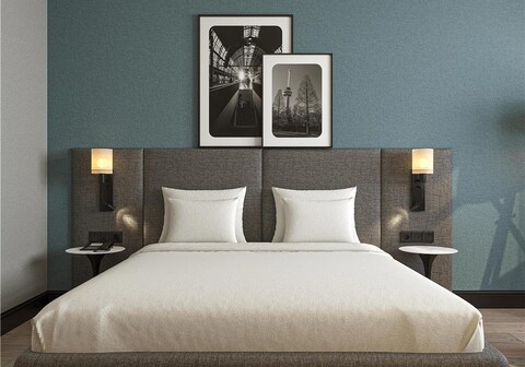 Radisson Hotel Amsterdam Airport Schiphol Hoofddorp