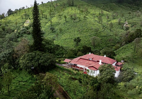 Sereniva Orange Grove Bungalow