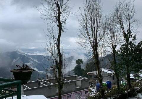 Ice Land Homestay - Zuluk