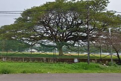 Tree Fort homestay, Cochin Tree Fort homestay, Cochin