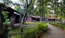 MOGLI JUNGLE RESORTS BANDHAVGARH , Bandhavgarh MOGLI JUNGLE RESORTS BANDHAVGARH , Bandhavgarh