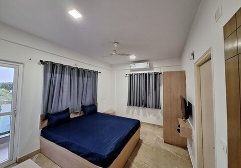 Collection O The Pride