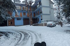 Palmo Homestay, Kalpa Palmo Homestay, Kalpa