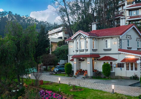 The Humming Bird A Stay Chapter