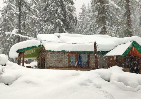 Into The Woods, Tulga