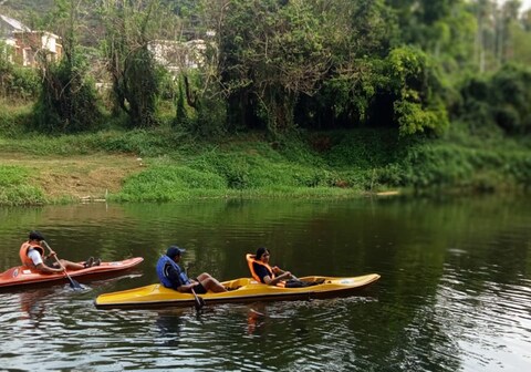 Sansrees Homestay | Coffee Plantation View