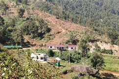 Wild campers cottages, Munnar Wild campers cottages, Munnar