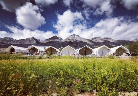 Wonderland Camp Pangong Lake