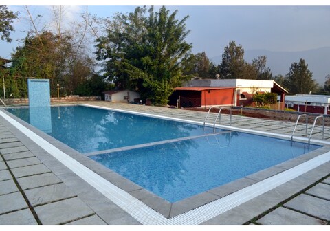 Tigers Den Masinagudi