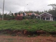 Greenview Inn, Munnar Greenview Inn, Munnar