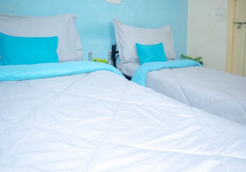 Z Express Euphoria (Men only)