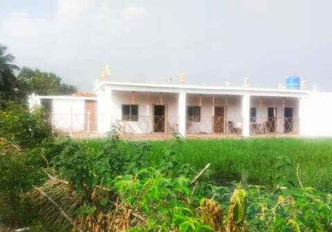 The Udaipur Diary By StayApart