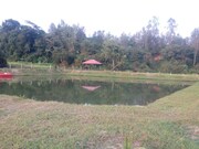 Appana Gadde-Rooms, Coorg Appana Gadde-Rooms, Coorg