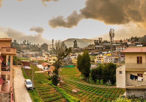 The Essar Cottage | Rooms in a Homestay