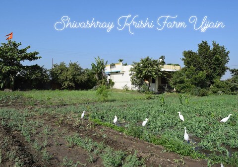 Shivashray Krishi Farm House Ujjain