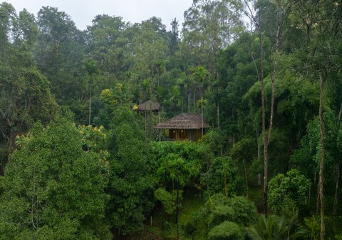 The Woods Resorts Wayanad