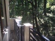 Celeste Duplex Apartment, Nainital Celeste Duplex Apartment, Nainital