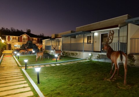 Stag Life Home Stay