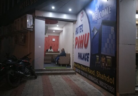 Hotel pihu palace