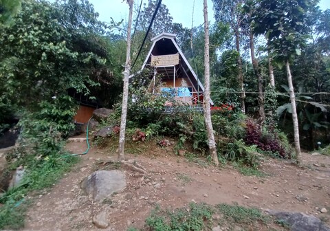 Tropical Paradise: Rumble in the Jungle