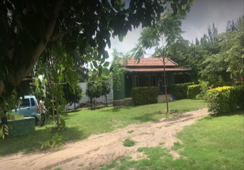 Mountain View Cottage