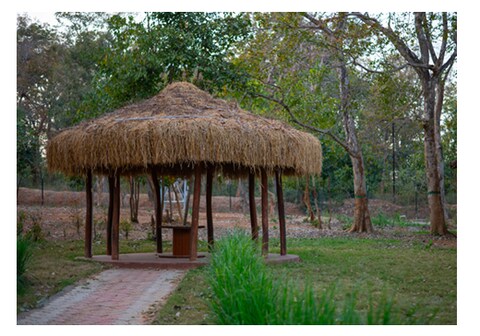 Mud House Oasis