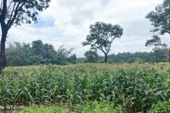 VISMAYA HOME STAY, Alur, Karnataka VISMAYA HOME STAY, Alur, Karnataka
