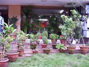 Hotel The Sutrupti, Bhubaneshwar Hotel The Sutrupti, Bhubaneshwar