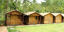 Deep Jungle Home, Masinagudi Deep Jungle Home, Masinagudi
