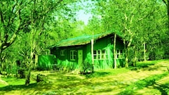 Bamboo Banks Farm and Guest House, Masinagudi Bamboo Banks Farm and Guest House, Masinagudi