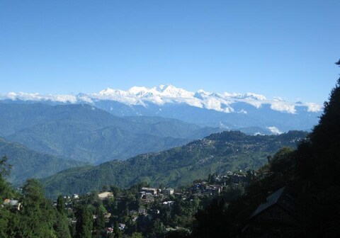 Rhododendron Exotic Resort, Darjeeling