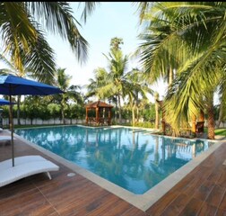 Swimming Pool 1