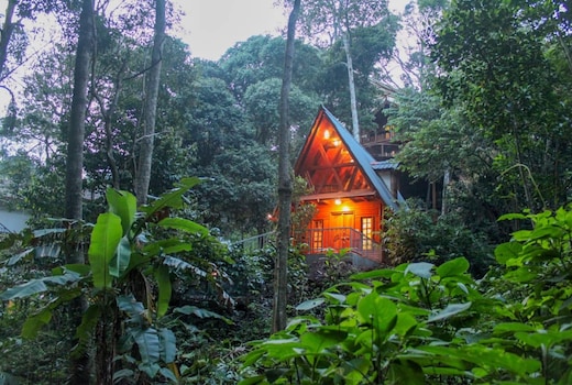 Forestvalley Duplex Wood House