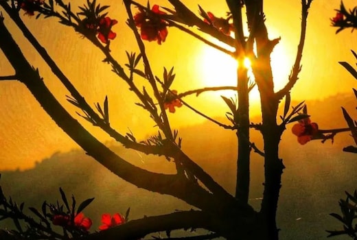 Shree mangalam homestay Bhimtal