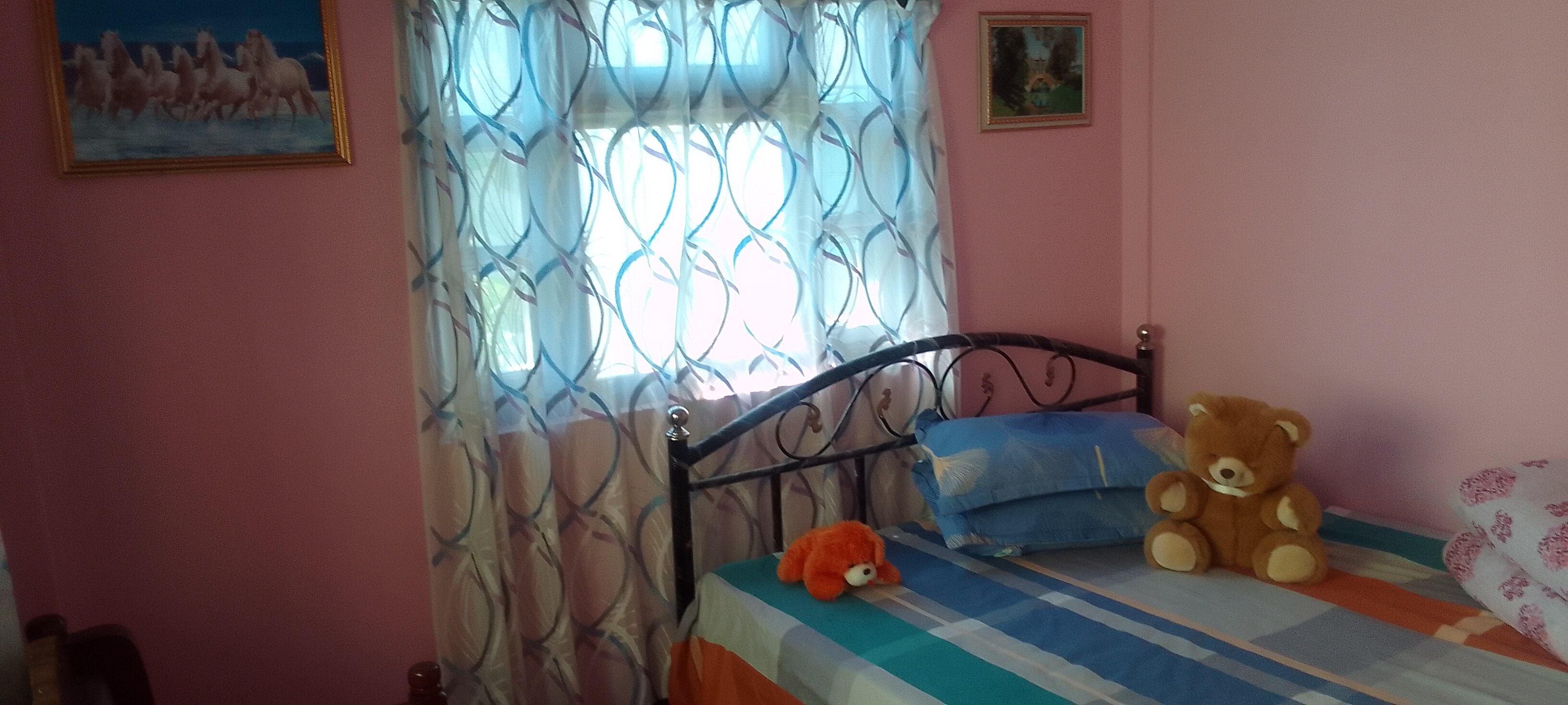 Sonakhim homestay - Tap to explore photos
